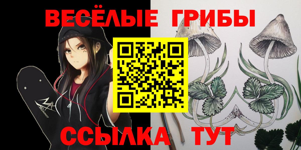 Псилоцибиновые грибы GOLDEN TEACHER Гурьевск