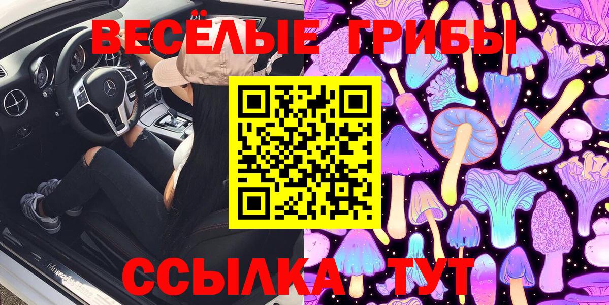 Галлюциногенные грибы мухоморы  Псилоцибиновые грибы Cubensis  Гурьевск  Вход с VPN 